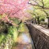 Kyoto Voie de la philosophie